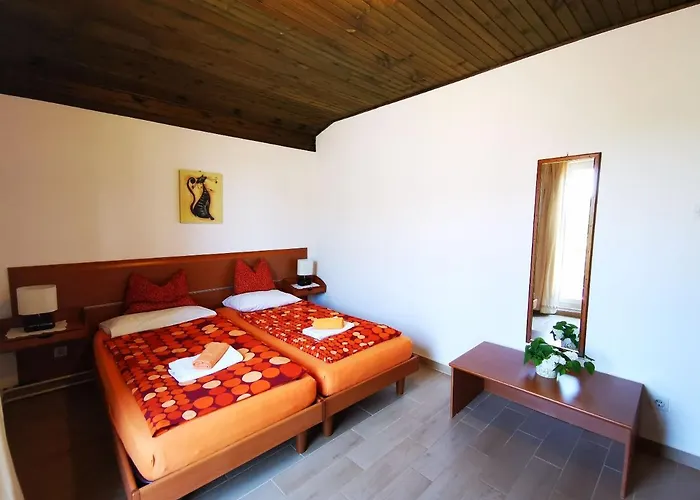 Apartmán Zuppy